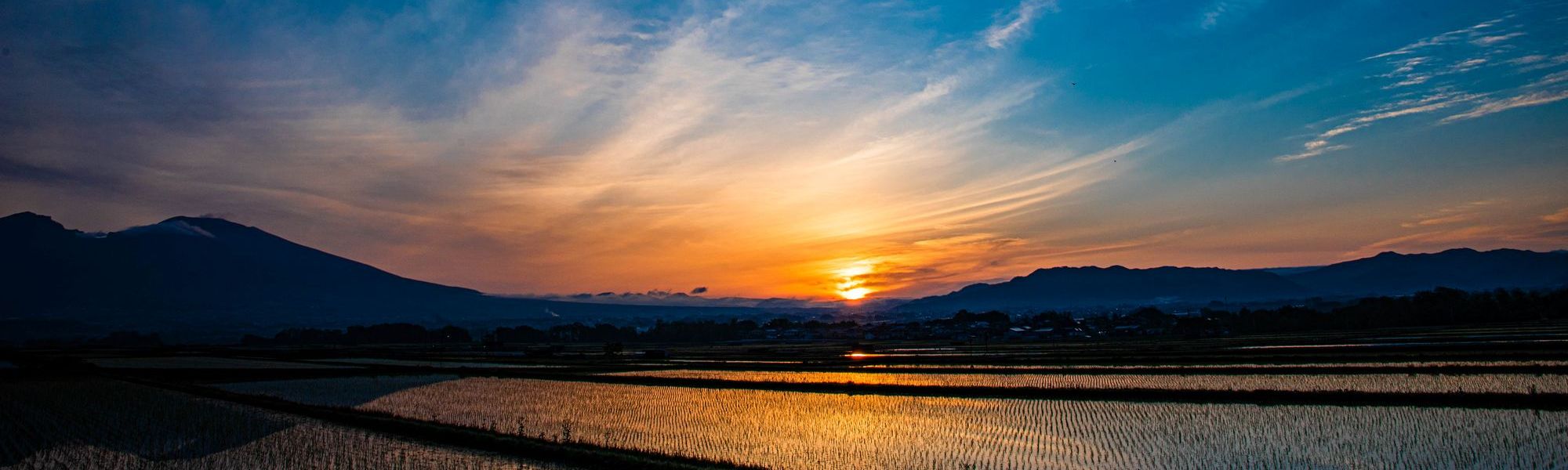 外国人技能実習生受入れ支援