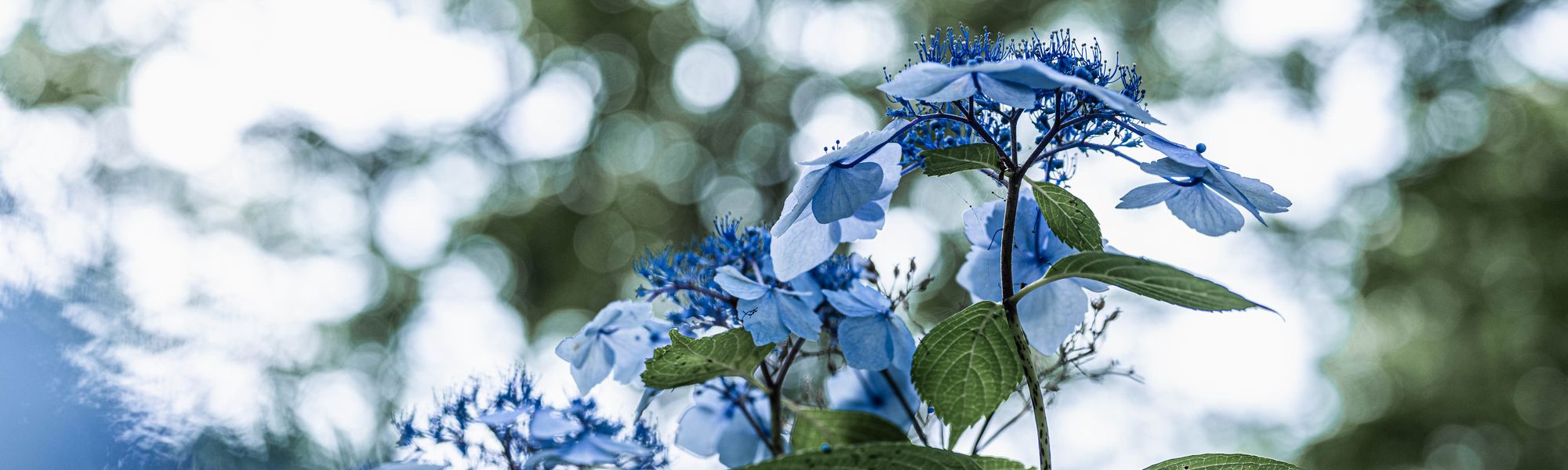 外国人技能実習生受入れ支援